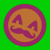 Sajjad12