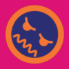 lybvspp